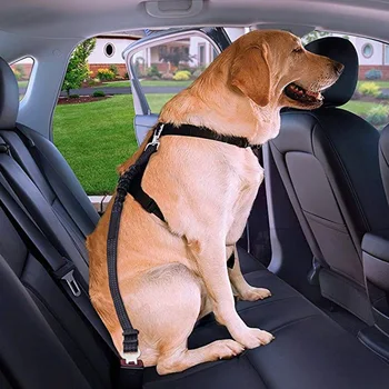 Аксессуары для салона автомобиля, светоотражающая эластичная нейлоновая веревка для безопасности домашних животных, выдвижная веревка для безопасности собак