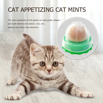Кошачья мята, облизывающая конфеты для увеличения объема питательного геля для котенка